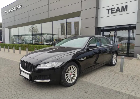 jaguar Jaguar XF cena 99900 przebieg: 155587, rok produkcji 2018 z Radzyń Podlaski